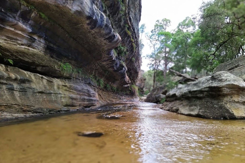 The Great Dripping Wall is the perfect place to cool down.