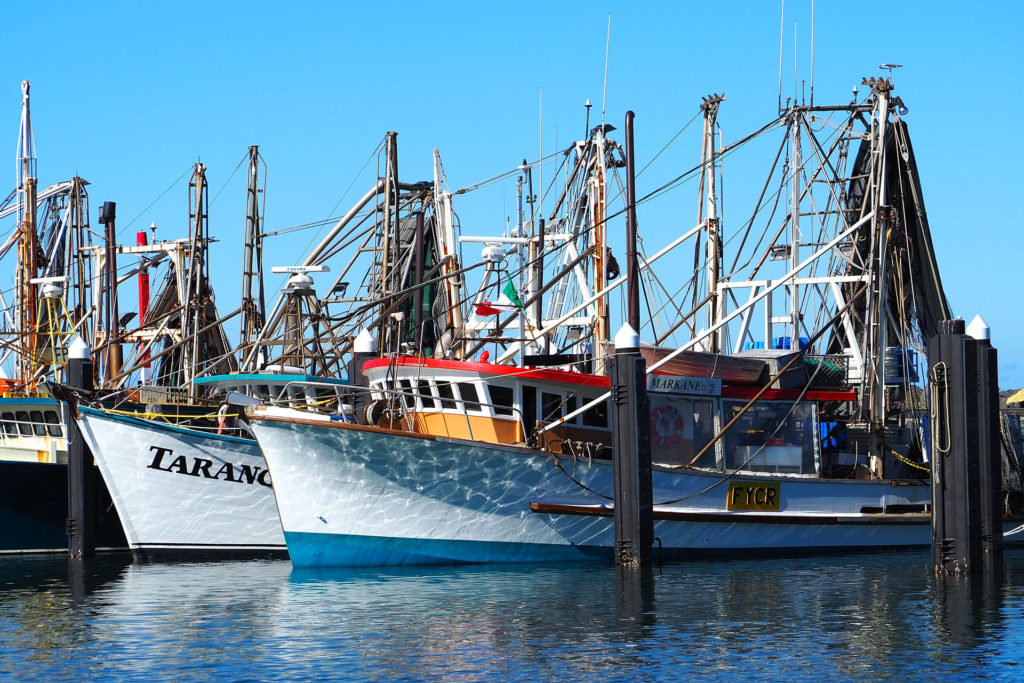 Fish Boats at the Coffs Harbour Marina